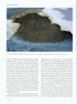 Ducks, Geese and Swans of North America, (2-Volume Set) - Baldassarre, G. 2014